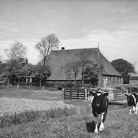 Apartmán De Bedstee Holwerd Exteriér fotografie
